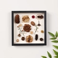 Cornice a cassetta nera con pigne essiccate assortite e campioni botanici naturali - Nero / Profondità 3cm / 6 Pollici