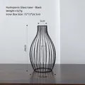 Modern minimalist black lantern hydroponic vase with metal frame and glass tube, 24cm tall - Lantern Hydroponic Glass Vase / Black