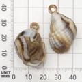 Pendaglio a conchiglia in acrilico a strisce marroni e bianche con righello millimetrato - 1 Pezzo Conchiglia in Acrilico 19x31mm