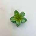 Glossy green plumeria flower hair claw clip for elegant women styling on white fabric - Frangipani Hair Clip / 6x5x3.8CM / Green