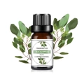10ml Eukalyptus wasserlösliches Duftöl für Luftbefeuchter in brauner Glasflasche - Eukalyptus Duftöl