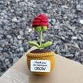 Handmade crochet red rose plant in a knitted pot with 'Thank you' message tag - Positive Potted-Small Head Rose