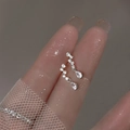 Pendientes de borla plateados con circonita de gota de agua y piedras graduadas - Par de plata