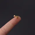 16G gold bee tragus piercing earring with screw ball back crafted in stainless steel - Gold Little Bee Style (354-3#G)