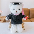White plush graduation teddy bear with black gown and pink tassel - White Braided Graduation Bear - Pink Trim / 30 cm