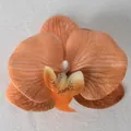 Testa di orchidea artificiale in arancione corallo con trama naturale dei petali - Pellicola 3D Caffè N. 1 (Grande)
