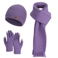 Three-piece purple winter knitted set including hat, scarf, and touchscreen gloves - Purple (3-Piece Set)