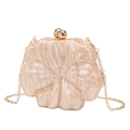 Floral acrylic evening clutch bag with champagne marble texture and gold chain strap - Apricot