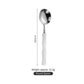 Bamboo handle stainless steel dinner spoon with white acrylic finish, 18.6cm length - White Round Spoon