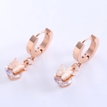 Pendientes de aro en acero oro rosa con mariposa esmerilada y circonitas redondas brillantes - Oro rosa