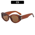 Cat eye sunglasses in translucent brown frame with brown lenses and gold side accents - C6-Dark Tea Frame Tea Lens