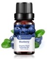 Blueberry organic essential oil in 10ml amber glass bottle with fresh blueberries decoration - Blueberry Scent