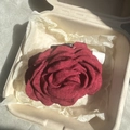 Deep red fabric rose hair claw clip in a gift box with a textured linen petal finish - 9cm / Burgundy