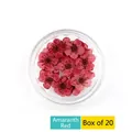 Detailed macro view of 20 pieces amaranth red dried plum blossom nail art accessories - 20 Pcs Pack / Amaranth