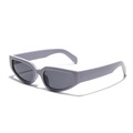 Occhiali da sole Y2K grigio-viola cat-eye con montatura spessa e lenti scure su bianco - Viola Grigio
