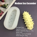 Detail of sea cucumber silicone mold showing precise dimensions and final resin casting - Medium Sea Cucumber Mold