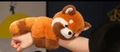 Red panda plush slap bracelet accessory worn on wrist for children and girls - Raccoon Slap Bracelet (Tilted Head)