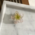 Pink and green gradient Plumeria flower hair claw clip with gold glitter details - 4cm / Green (Small Size)