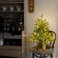 Lighted 45cm mini PE Christmas tree in a gold metal pot for desktop holiday decor - Battery Type (With Warm Light) / 45cm
