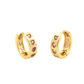 Orecchini a cerchio placcati oro 18K con pietre di zircone rosa a forma di cuore - Oro con cuore rosa (ER1412-A)