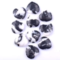 Set of ten zebra jasper heart stones with black and white patterns on white background - Black and White Zebra Stone