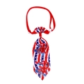 Detailed view of Fourth of July pet tie with red white blue stars stripes and buckle - NT153-12