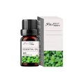 10ml peppermint water-soluble essential oil for humidifiers with branded packaging box - Mint