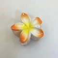 Frangipani flower hair claw clip with yellow, white and orange gradient design - Bauhinia Hair Claw / 8x7x4.3cm / Apricot Pink