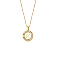 Goldene Edelstahlkette mit rundem Anhänger, Buchstabe H und funkelnden Kristallsteinen - Buchstabe H Stil (H)