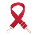 Close-up of red herringbone cotton strap with adjustable gold metal buckle for bags - Silver Clasp / Red (J25)