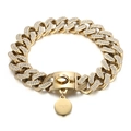 Collare per cani in acciaio al titanio placcato oro 18K con zirconi cubici - Oro KDC016-KJX / Oro