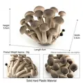 Realistisches Shimeji-Pilzmodell aus festem Kunststoff für die Desktop-Dekoration - Buchenpilz (T15513)