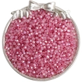Pink multifaceted glass seed beads with AB iridescent finish in a silver tray - Style 29 4mm Red (150pcs)