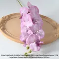 Film Phalaenopsis Light Purple No. 1