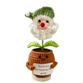 Handmade crochet Santa head potted plant with Thank You For Helping Me Grow sign - Santa Potted Green (No Base)