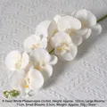 9-Head Silk Butterfly Orchid White