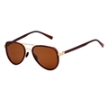 Gafas de sol de aviador con lentes marrones y montura dorada de doble puente - Oro Arena Té Arena Todo Marrón