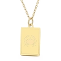 Golden stainless steel necklace featuring a rectangular Cancer zodiac pendant on O-chain - Cancer