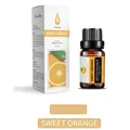 10ml Pure Sweet Orange Essential Oil in amber glass bottle with white retail box - Sweet Orange