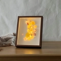 DIY shell light box with warm LED illumination in a dark brown wood grain frame - 6 Inch / Walnut / 3cm