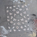 Pegatinas de uñas mariposa y flor láser TL-269 con efecto de relieve 3D perlado - Diamantes de Imitación Fragmentos de Vidrio Trasparentes (TL-269)