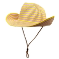 Dettaglio di un cappello da cowboy in paglia a righe gialle e viola con sottogola - M (56-58cm) / Giallo