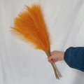 Nahaufnahme von 55cm orangefarbenem künstlichem Pampasgras für Boho Heimdekoration - 53-55cm / Goldgelb