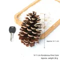 Natural 9-11cm American pine cone for Christmas DIY crafts and festive home decor - 9-11cm Large American Pine Cones