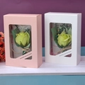 Pink and white window gift boxes with yellow-green soap roses and dried flower accents - Green