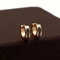 Sparkling rose gold titanium steel hoop earrings with four square black zircons - Gold Square Zircon / Rose Gold With Black Rhinestone