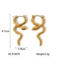 Snake shape earrings in 18k gold plated stainless steel with size and weight details - Gold Snake Art Shape Style (HC-E10070)