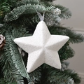 Christmas tree star ornament with white glitter finish and grey ribbon on green branch - Glitter White Star