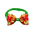 Close-up of pet bowtie with vibrant fruit patterns and green ribbed webbing detail - Orange