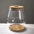 Minimalist teardrop glass hydroponic vase with a cork lid and wooden base stand - Teardrop Large with Bamboo Mat